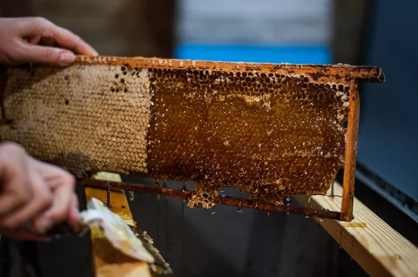 Un apicultor anciano trabaja con marcos para la miel. Trabajo manual en el colmenar. —  Fotos de Stock