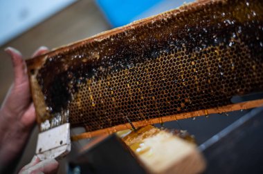 Arı yetiştiricisinin arı kovanındaki bir kazıyıcıyla bal ayıklamasına yakın plan.