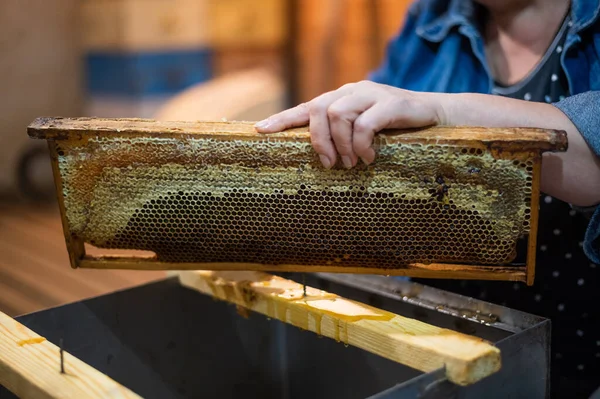 Рука с помощью скребка забивает соты медом в рамке. Пчеловод распечатывает медовую рассаду. — стоковое фото
