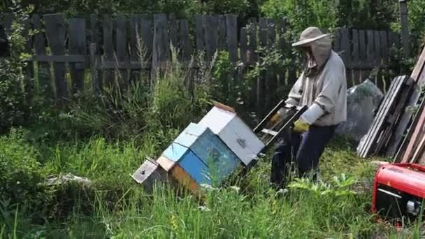 Biodlaren flyttar handvagnen med bikupor från bikupan till utvinningskällaren. Förberedelse för honungsextraktion. — Stockvideo