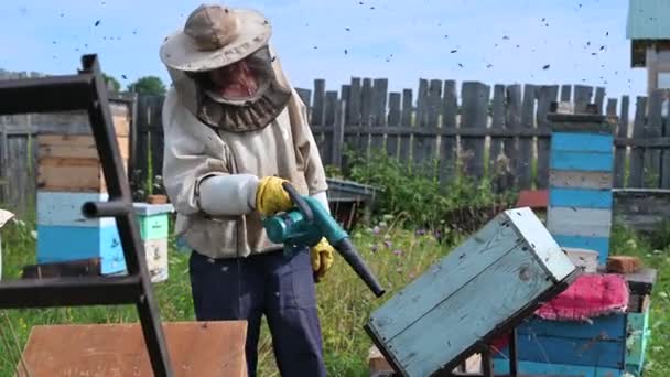 O apicultor explora abelhas da colmeia com ventilador para remover favo de mel. — Vídeo de Stock