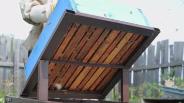 Bir arı yetiştiricisi bal peteğini çıkarmak ve bal çıkarmak için kovan dolusu arı kovanına hava üflüyor..