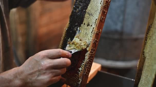 Odhalení plástve s škrabkou ručně, sklizeň medu. — Stock video