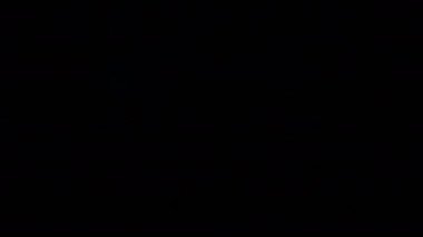 Kamera kırmızı ceketli genç esmer kadını takip ediyor. Uzun koridorda karanlıkta hızla yürüyor..