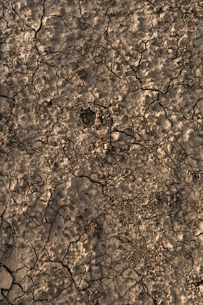 Закрыть треснувшую сухую глину. Пески Долины Смерти, Калифорния, США. — стоковое фото