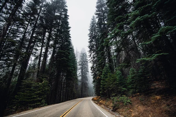 Curva de estrada a caminho do parque nacional de Sequoia — Fotografia de Stock