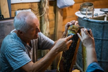 Arı yetiştiricisi kazıyıcıyla fazla balmumu kaldırır ve bal pompalamaya hazırlanır. Arı yetiştiricisi arıcıda çalışıyor..