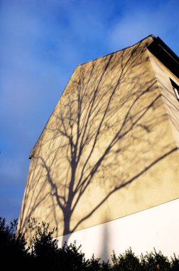 Mavi gökyüzüne karşı tüm binayı kaplayan bir ağacın gölgesi, ışık ve gölgenin deseni - alçı ve betondan yapılmış güneş ışığından yapılmış bir tablo gibi.