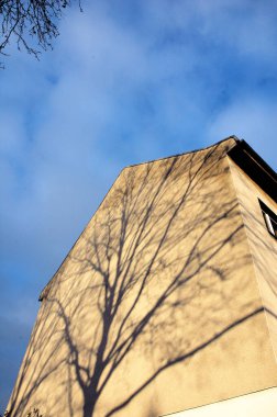 Ağacın gölgesi bodrumdan çatıya kadar tüm evi kaplıyor. Işığın ve gölgenin bina tuvali üzerine yansıması.