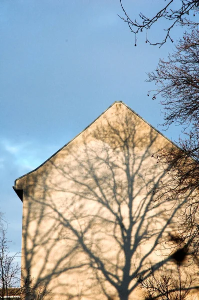 Tree shadow covering entire house wall against blue sky, pattern of light and shadow - like a painting made of sunshine on a canvas of plaster and concrete
