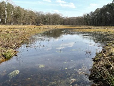Güneşli bir günde çimen tarlasına yayılan su
