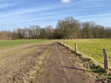 Ormanda uzanan çitli bir yol.