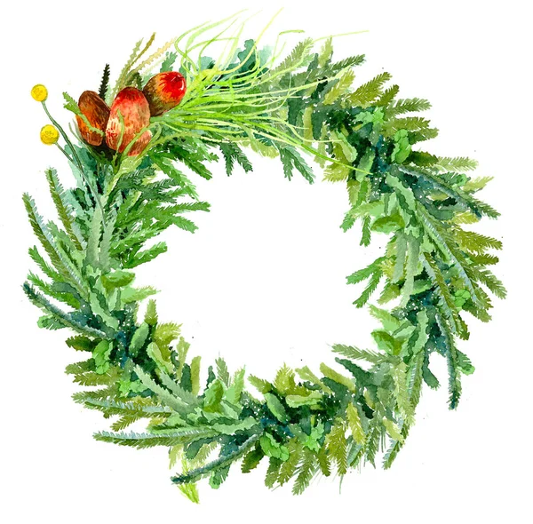 Watercolor Christmas Wreath Wih Spruce Branches Mistletoe Branches Flower Berries — Stock Photo, Image