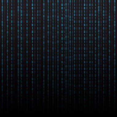 Soyut teknolojik altyapı. İkili bilgisayar kodu.