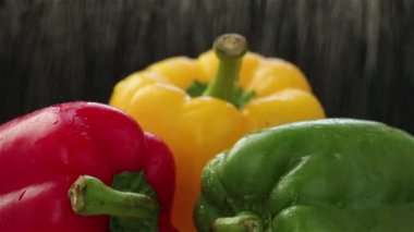 Su püskürtüyor ve taze renkli dolma biberlerin üzerine damlatıyor.