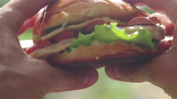 Uomo Che Tiene Mano Gustoso Hamburger Morderlo Vista Prima Persona — Video Stock