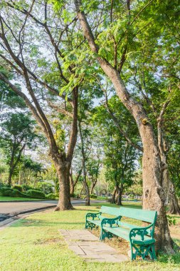 Bangkok bahçelerde ağaç altında tezgah