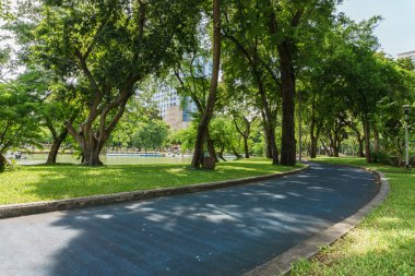 güneş ışığı yeşil ağaç park, Bangkok Tayland gelirken