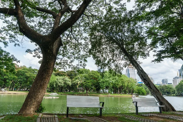 在公园里，泰国曼谷的绿色树木下的长凳上 — 图库照片