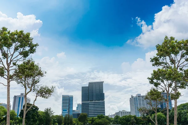 树是城市的本性 — 图库照片