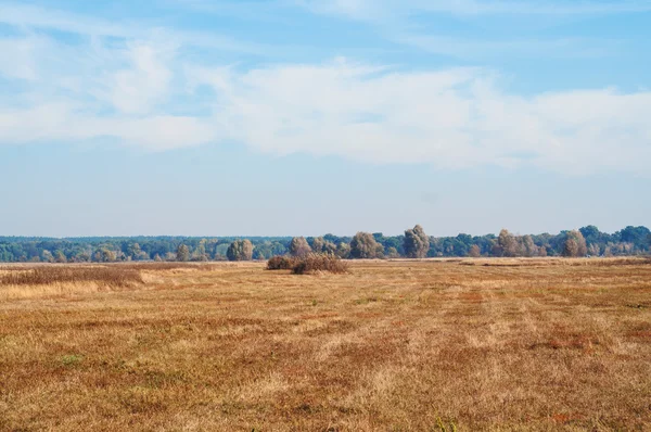 Veld, de hemel en de horizon — Stockfoto