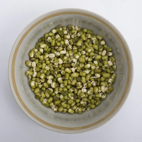 mung bean, vegetarian, raw food