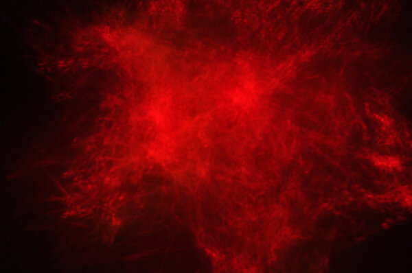 Inferno , lava, hellish red chernitsy