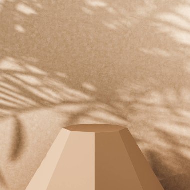 Ürün sunumu için soyut bir arkaplan, bej renkli sekizgen taban, arka planda tropikal bitki gölgesi. 3d oluşturma