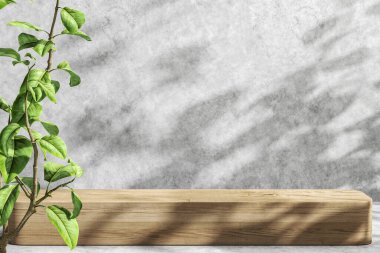 Ürün sunumu için minimalist model arka plan, Sunshade ve ahşap platform ve çimento duvardaki gölge, ön plandaki bitki. 3d oluşturma