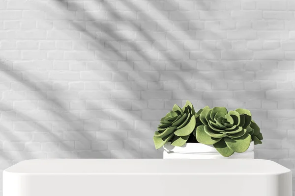Ürün sunumu için beyaz platform, küçük bitkiler ve beyaz tuğla duvar arka planı, arka planda tropikal bitkilerin gölgesi. 3d oluşturma