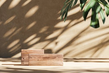 Bej sahnede iki ahşap platform, duvarda güneş gölgesi tropikal bitkiler. Ürün sunumu ya da reklamlar için soyut bir arkaplan. 3d oluşturma