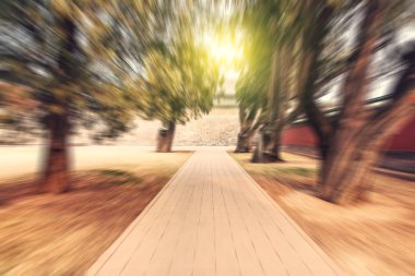 Eski ormanda yol görünümünü