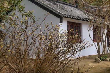 Güzel Çin yatay çekim