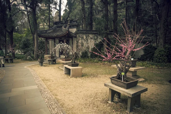 Stará čínská zahrada — Stock fotografie