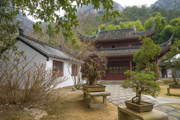 Old Chinese garden — Stock Photo, Image