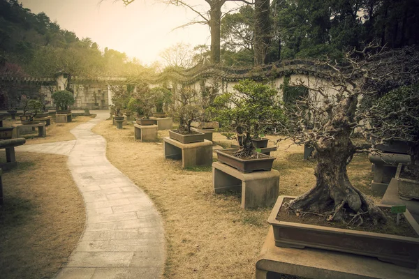 Ancien jardin chinois — Photo