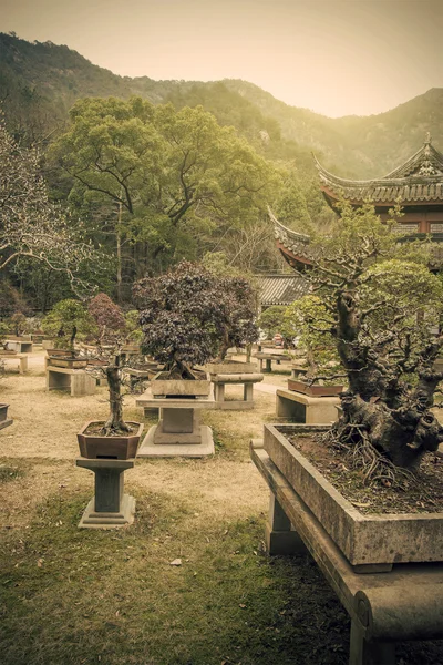 Ancien jardin chinois — Photo