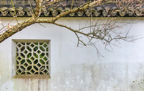 Erik ve Çin windows