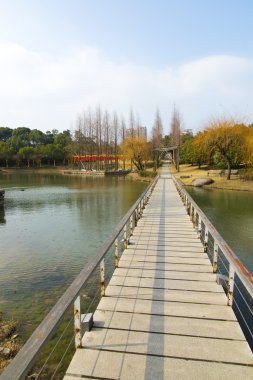Park nehir köprüsü lake