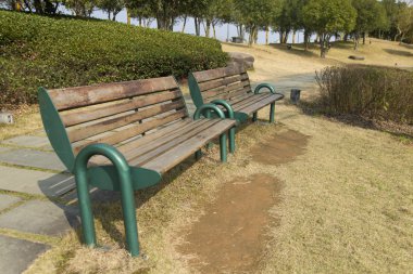 Güzel Çin yatay çekim