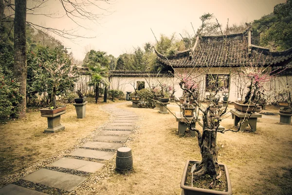 Giardini cinesi e bonsai — Foto Stock