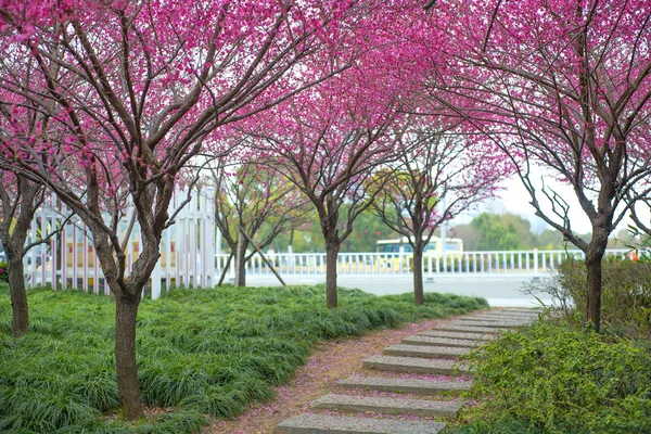 Belles photos de paysage chinois — Photo