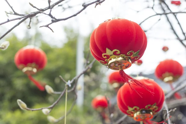Güzel Çin yatay çekim — Stok fotoğraf