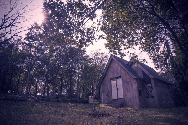 Hut in zonnige bos — Stockfoto