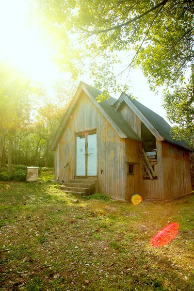 Hut in zonnige bos — Stockfoto