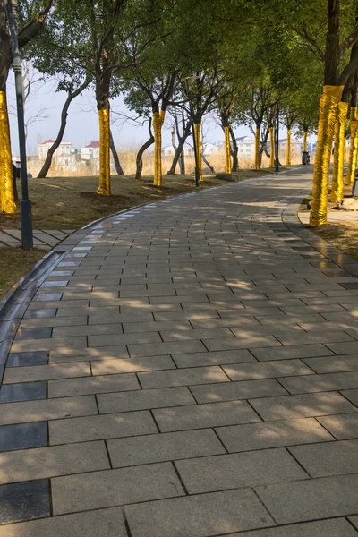 Parks and corridors of trees — Stock Photo, Image