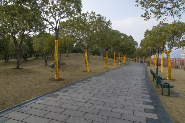 Güzel Çin park — Stok fotoğraf