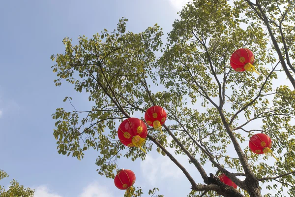 Cina indah gambar lanskap — Stok Foto