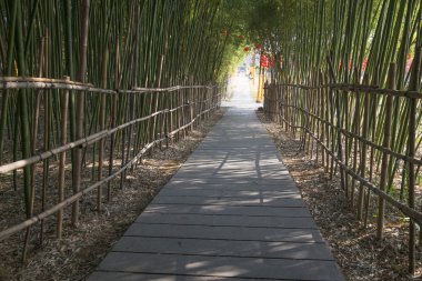 Güzel Çin yatay çekim