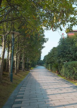 Güzel Çin yatay çekim